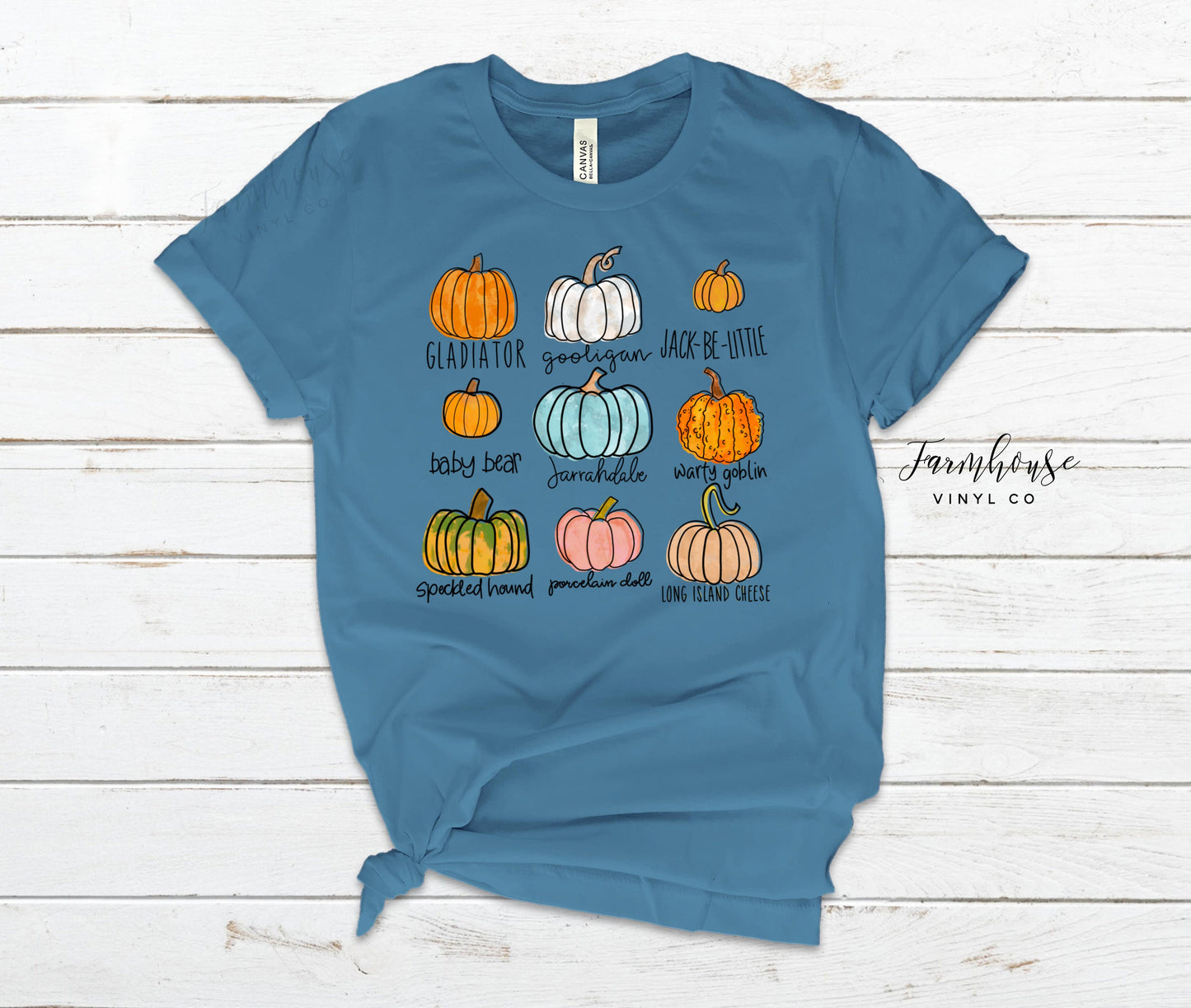 Little Things Colorful Pumpkin T-Shirt / Halloween Shirts / Fall Fashion Her Mom Women / Group Family Friend Shirts / Pumpkin Patch Shirt - Farmhouse Vinyl Co